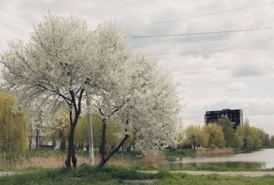 Everything Will be Fine